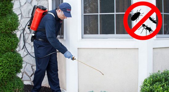 Kaman Kene İlaçlama böcek ilaçlama ve haşere kontrolü — ilaclama-tr.com